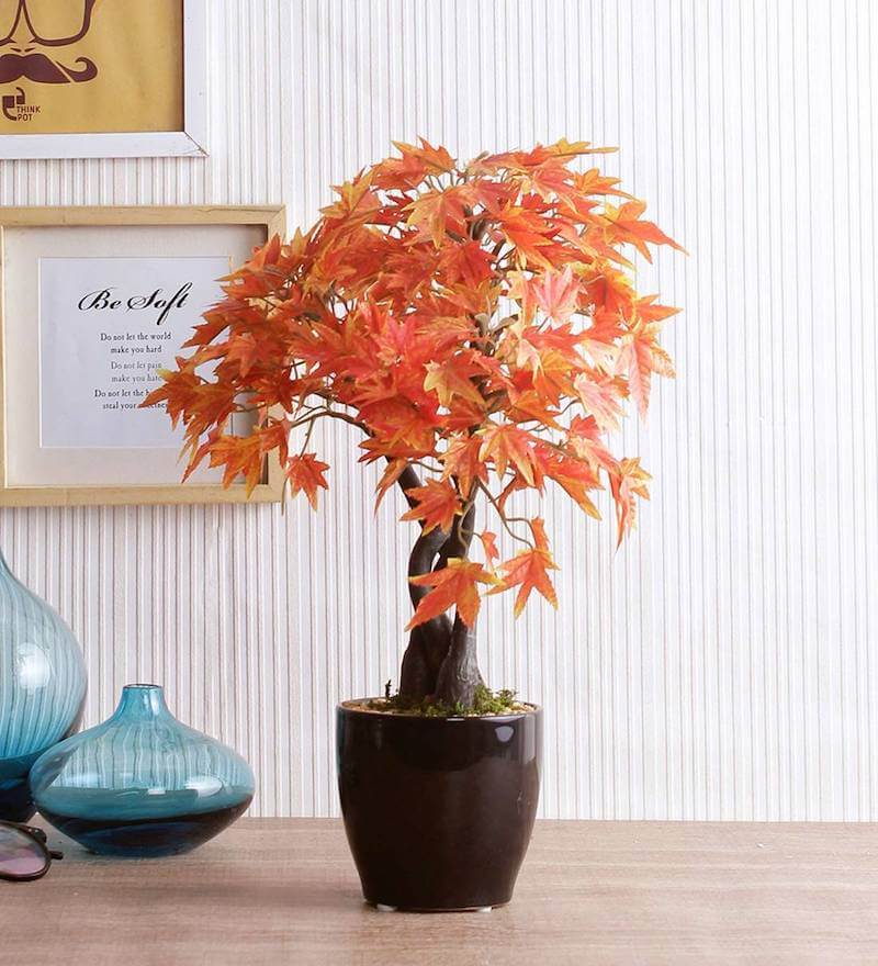 Artificial Japanese Maple Bonsai Plant with Glossy Ceramic Pot