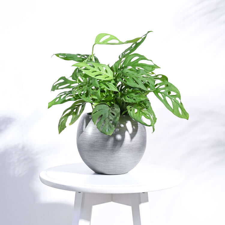 Ball Vase in Silver, Zuri