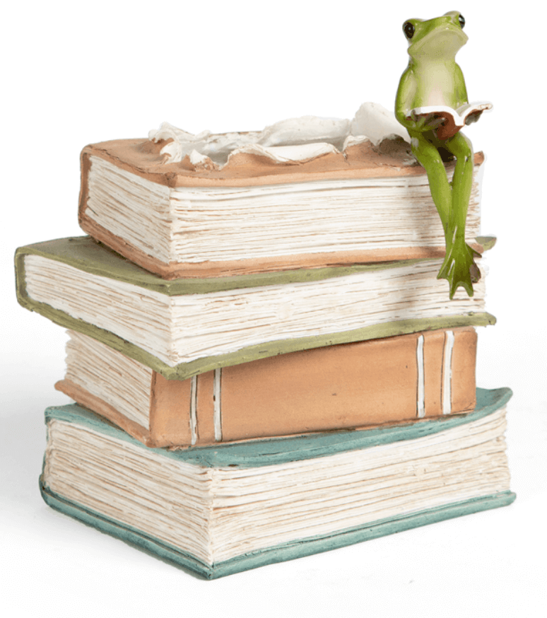 Books Display ‘Betty Frog the Book Reader’