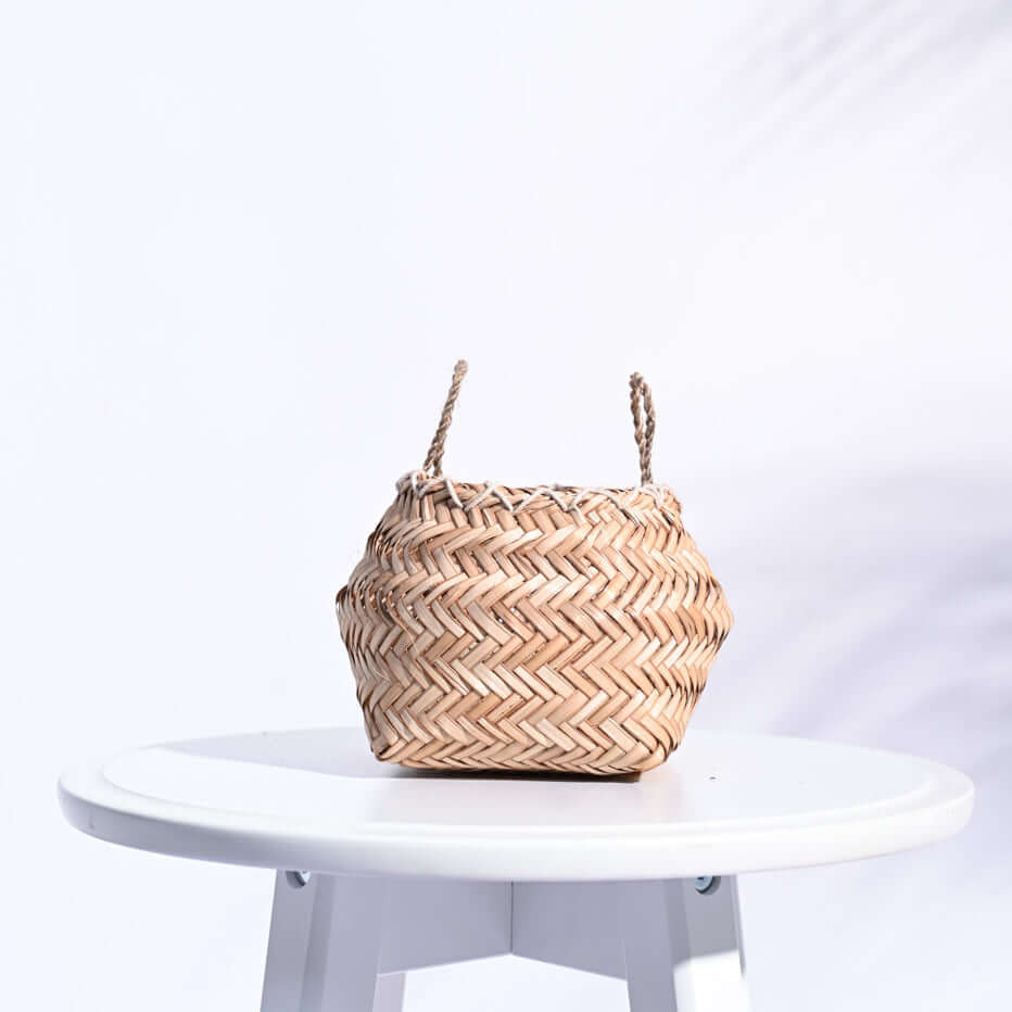 Braided, Biodegradable Sitalpati (Maranta Dichotoma Plant) Planter