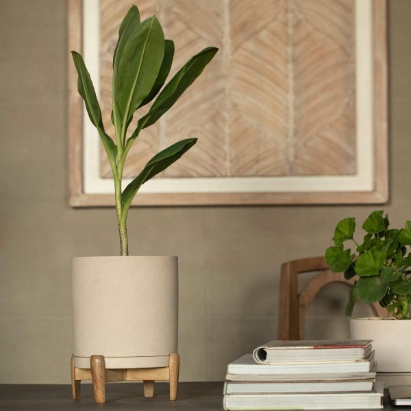 Ceramic Planter with Wood Stand, Ljo