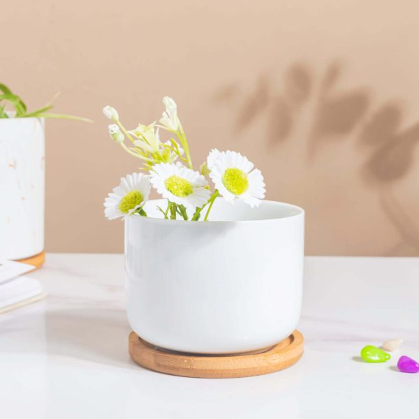 Ceramic Planter with Wooden Coaster