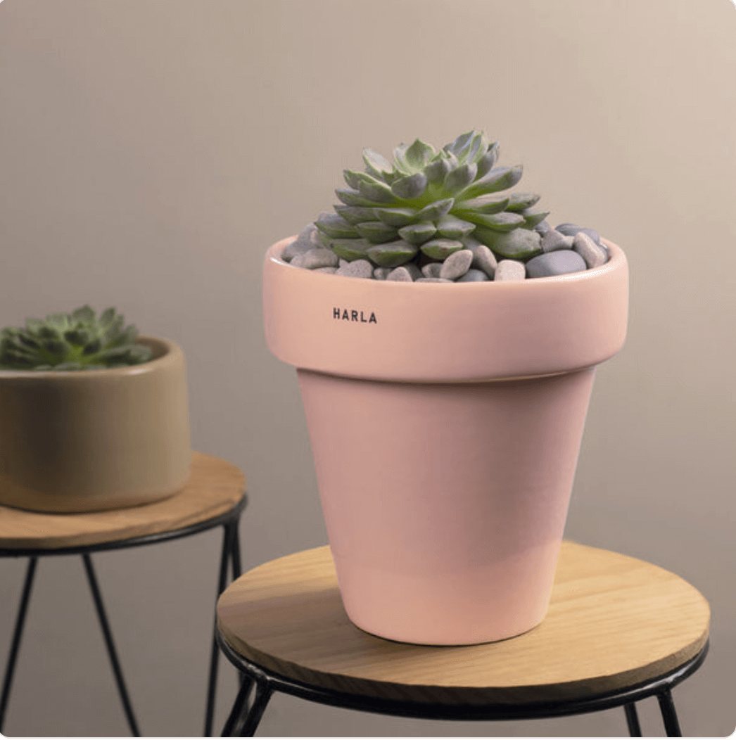 Conical-Shaped Ceramic Pot