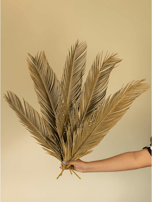 Dried Palm Leaf Stems, Set of 5