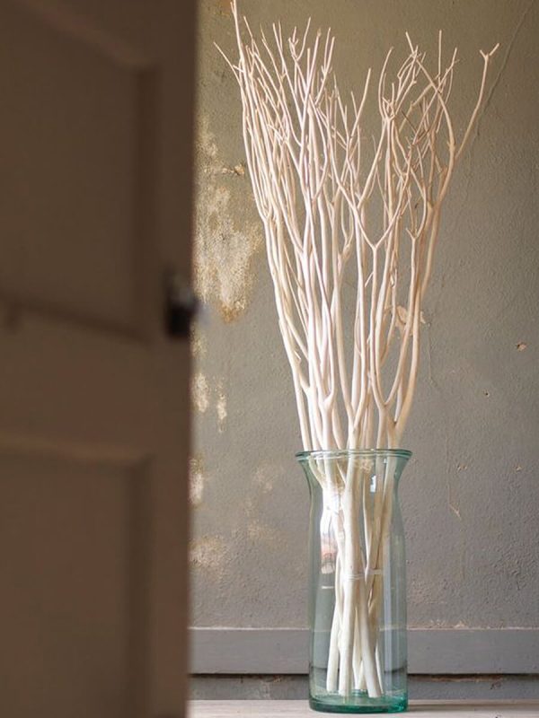 Dried Willow Bunch in White, Symbols of Peace, 5 stems