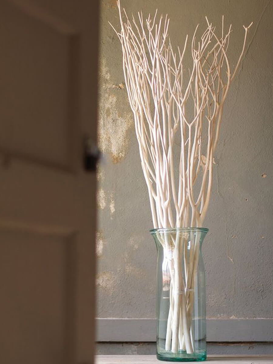 Dried Willow Bunch in White, Symbols of Peace, 5 stems