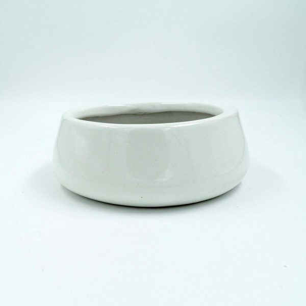 Flat Ceramic White Planter, Tulip Fantasy