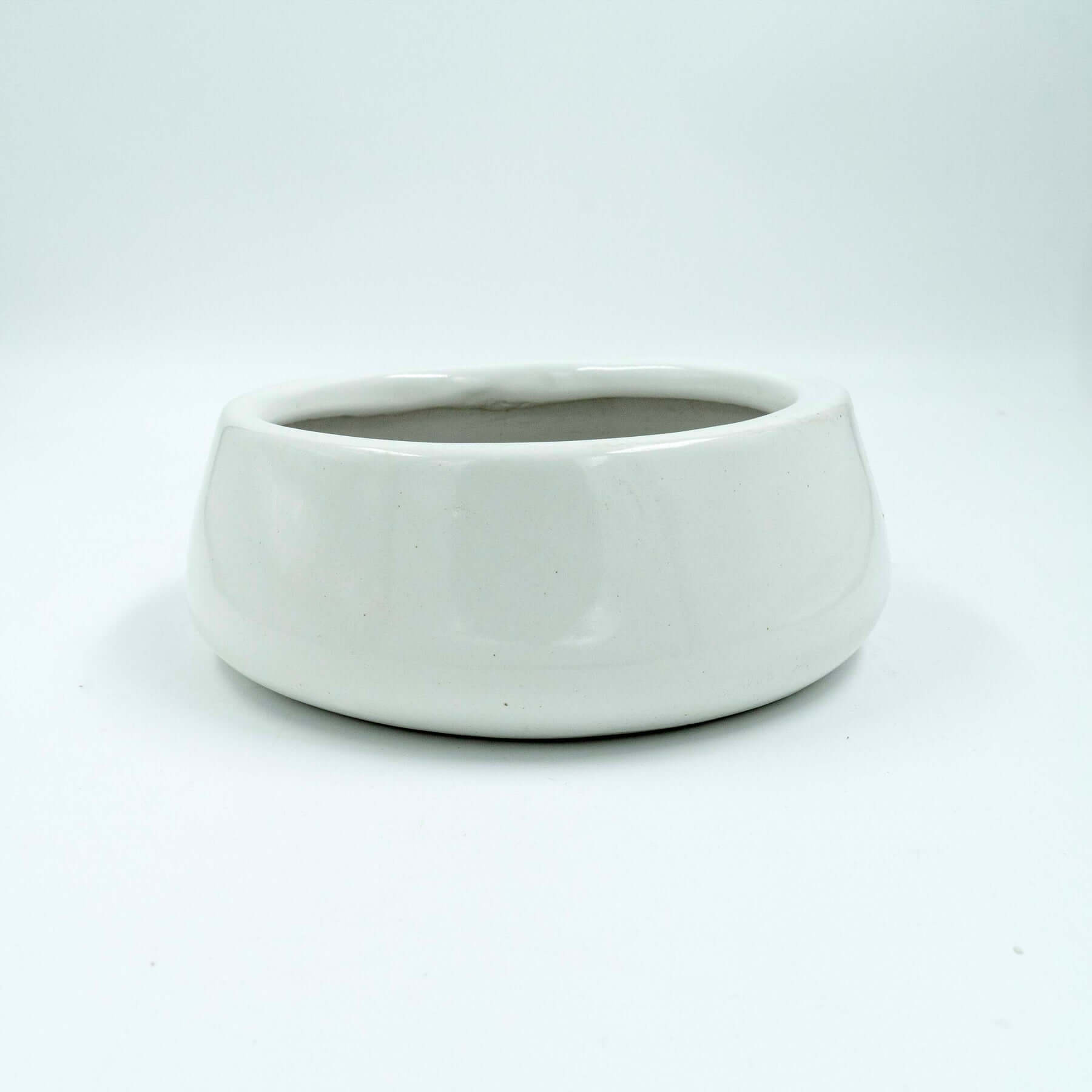 Flat Ceramic White Planter, Tulip Fantasy