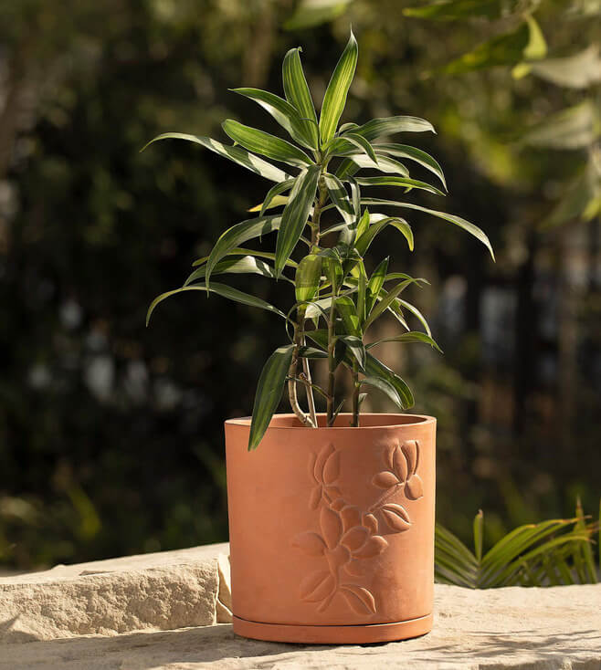 Floral Embossed Terractota Planter with Tray