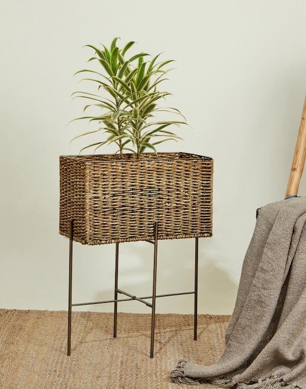 Metal Planter Box 2 Piece Set with Plate, Small, Coramandel