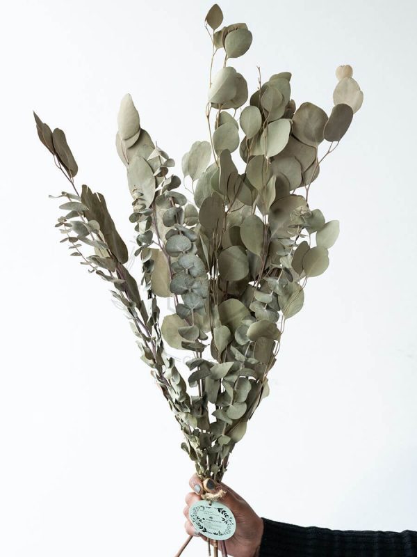 Mixed, Dried Eucalyptus Bouquet