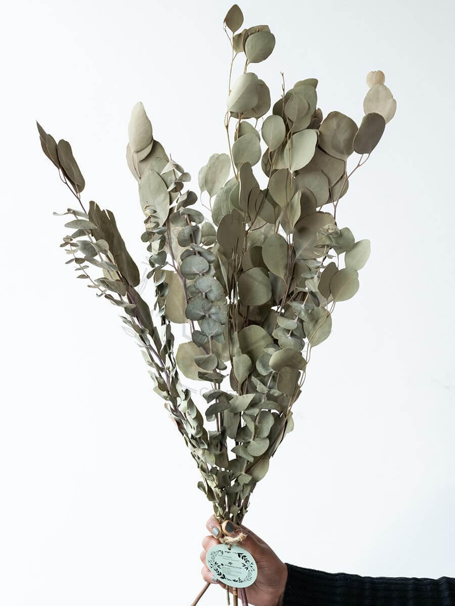 Mixed, Dried Eucalyptus Bouquet