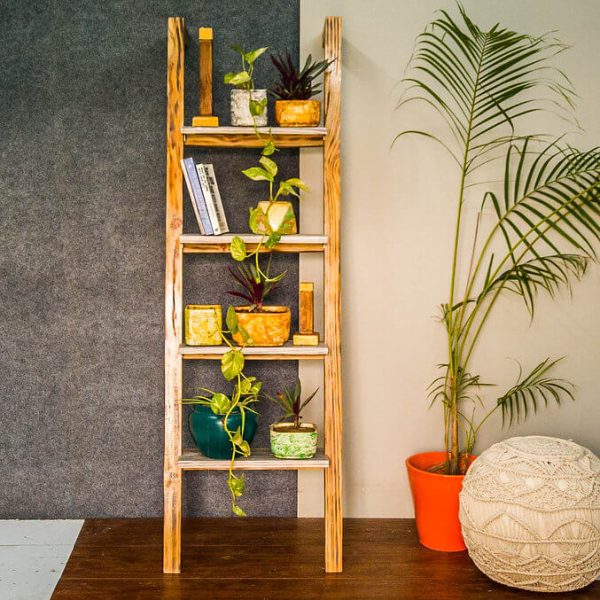 Multi-functional Ladder for Display