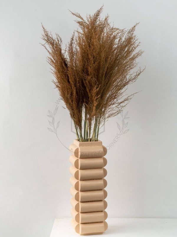 Pampas Grass Small Size