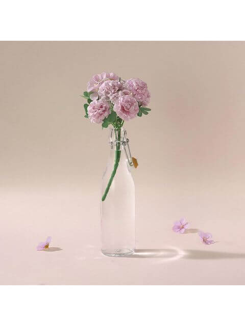 Plain, Transparent 500 ML Water Bottle with Clip Cap, Bormioli