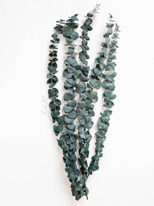 Preserved Eucalyptus Leaves Vine, Green