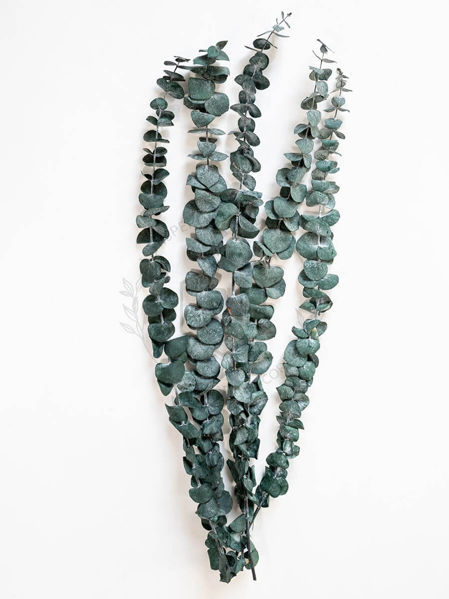 Preserved Eucalyptus Leaves Vine, Green