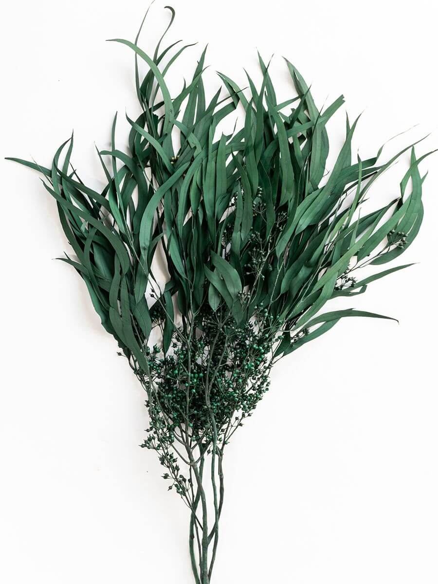 Preserved Eucalyptus Weeping Willow Leaf Foliage