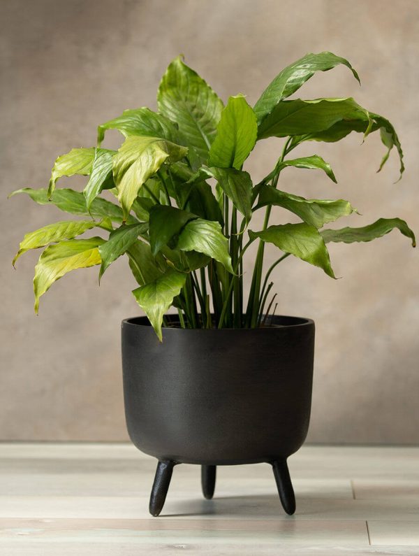 Rustic Floor Planter with 3 Legs, Black