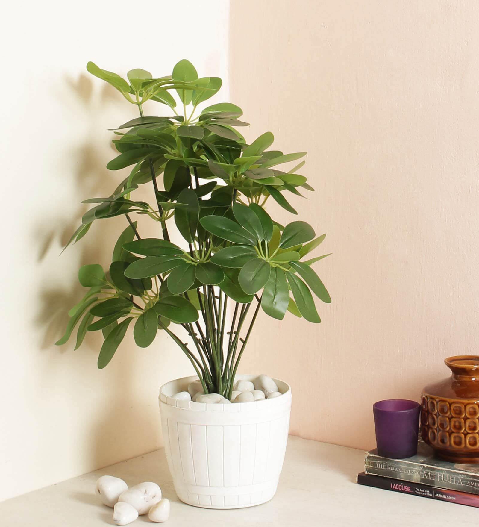 Schefflera Floor Plant without Pot (Artificial)