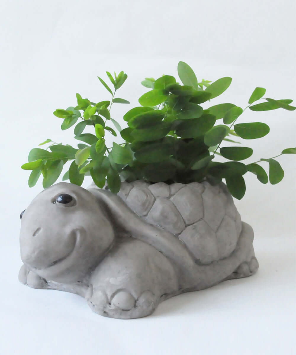 Stone Finish, Fiber Tortoise Planter