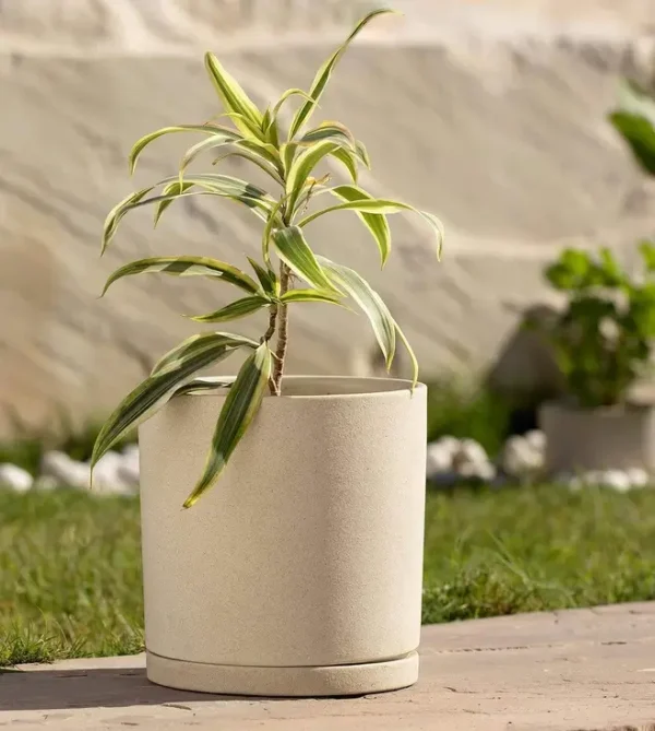 Tall, Ceramic Planter with Tray, in Egg Shell Color