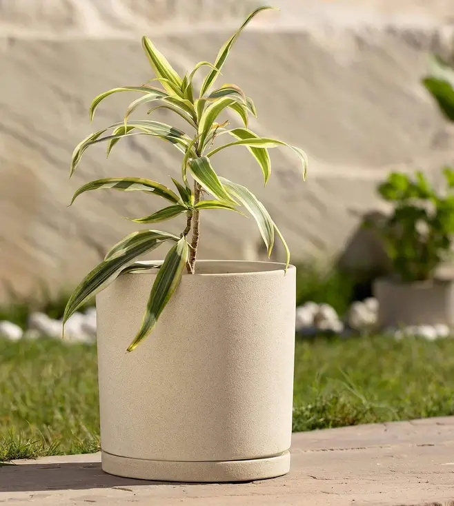 Tall, Ceramic Planter with Tray, in Egg Shell Color