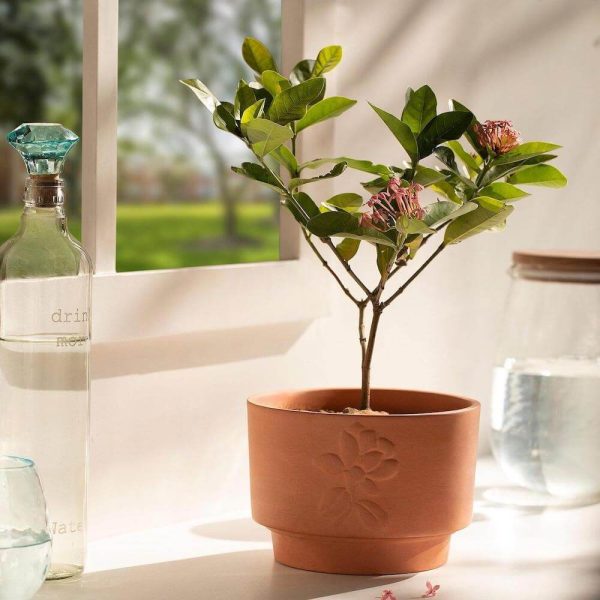 Terracotta Embossed Planter - Short