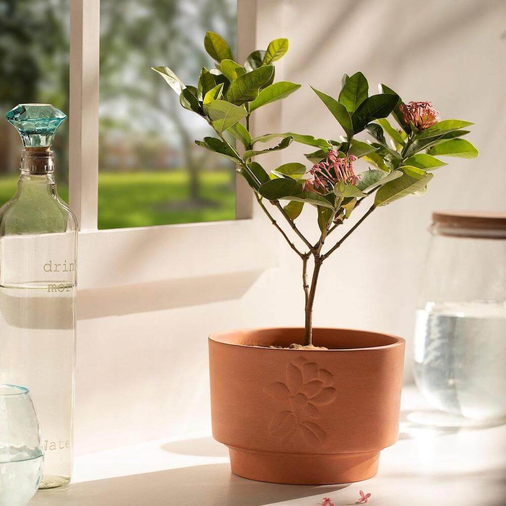 Terracotta Embossed Planter - Short