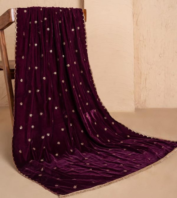 Mulberry Embroidered Velvet Dupatta by Sew& You